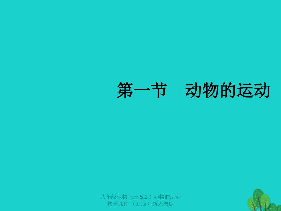 【最新】八年级生物上册 5.2.1 动物的运动教学 （新版）_第1页