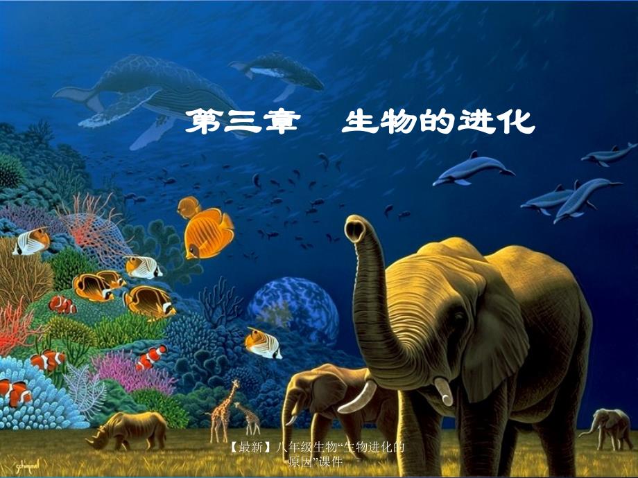 【最新】八年级生物“生物进化的原因”课件_第1页