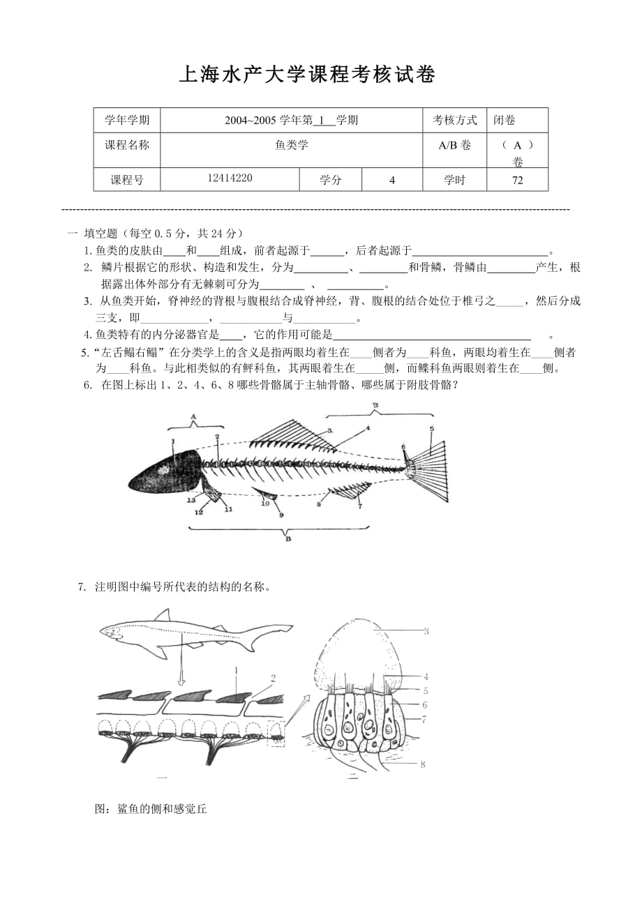 上海水产大学课程考核模拟测验_第1页