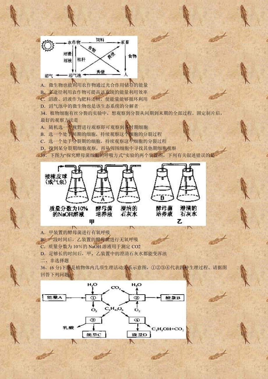 2013年连云港市学业水平第一次考试生物模拟测验_第5页