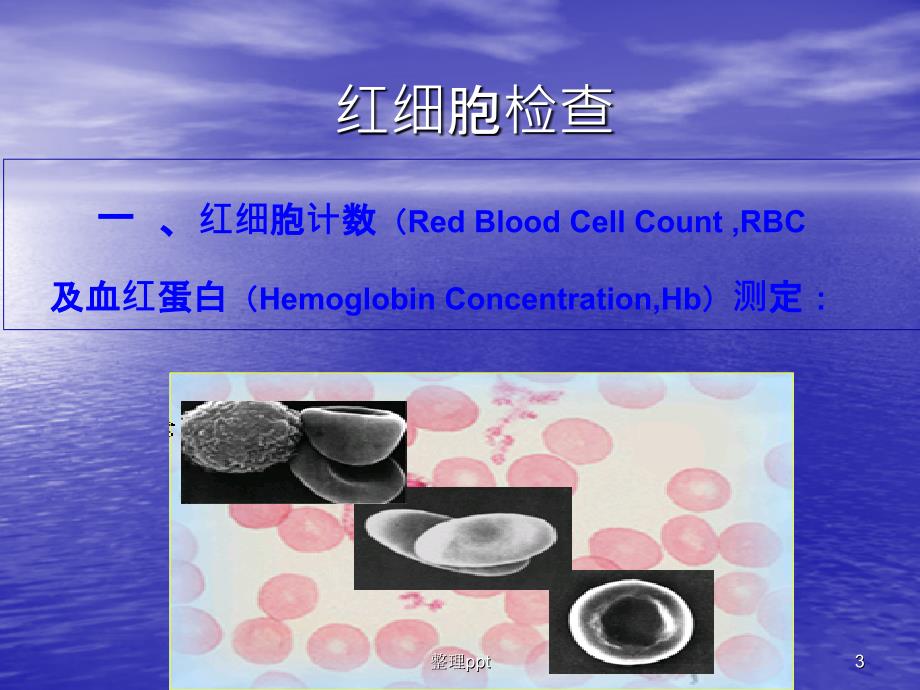 血常规检查及其意义(1)_第3页