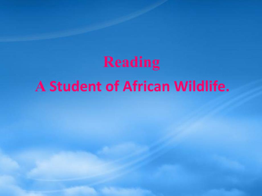 高一英语《A Student of African Wildlife》课件 新人教选修8（通用）_第1页