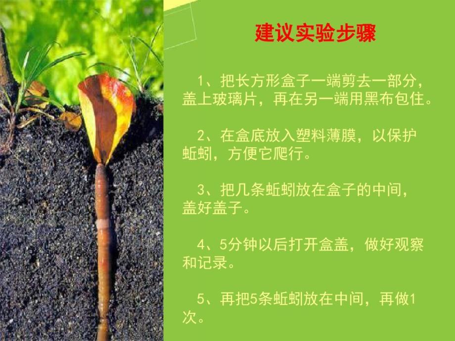 《蚯蚓的选择》课件课件_第4页