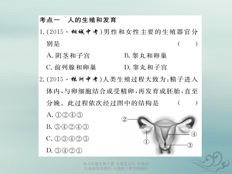 【最新】春八年级生物下册 专题复习九 生物的生殖和发育-_第2页