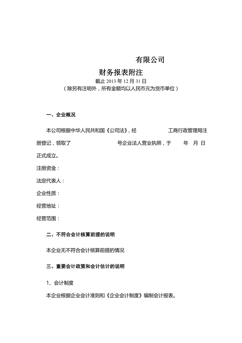 财务报表及附注模板(总17页)_第1页