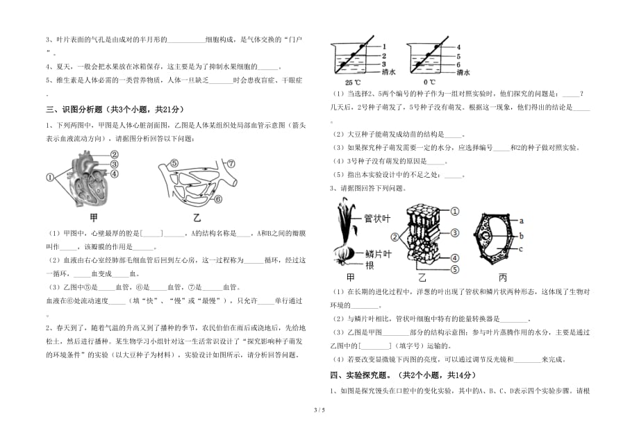 2021年七年级生物下册期中模拟考试（附答案）_第3页