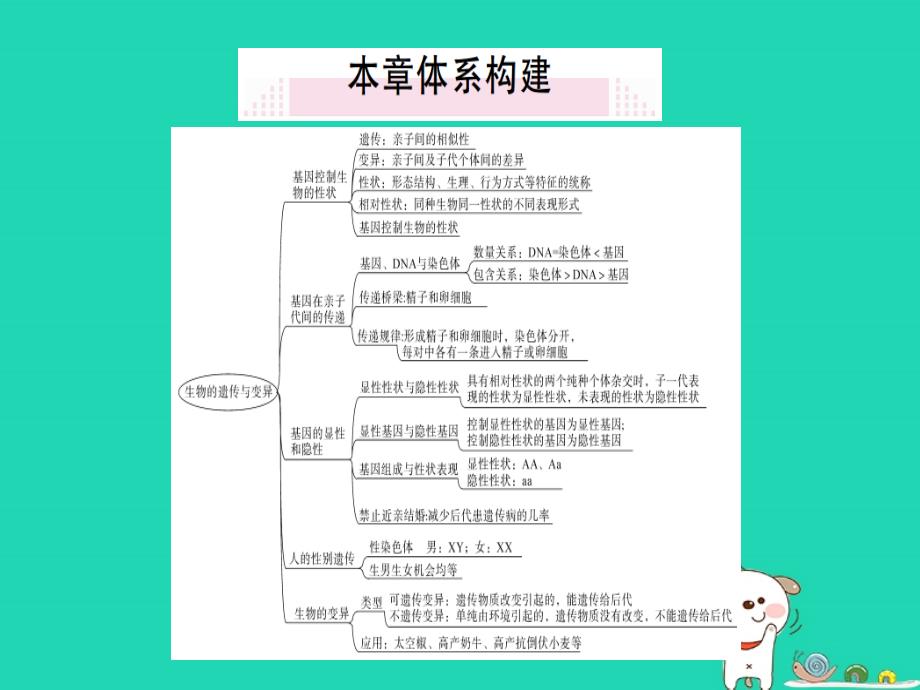 【最新】春八年级生物下册 第七单元 第二章 生物的遗传与变异小结与复习习题_第1页