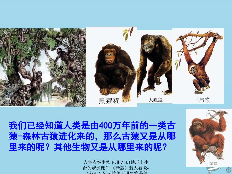 【最新】吉林省级生物下册 7.3.1地球上生命的起源课件 （新版）新人教版-（新版）新人教级下册生物课件_第2页