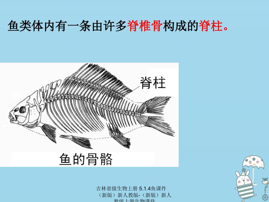 【最新】吉林省级生物上册 5.1.4鱼课件 （新版）新人教版-（新版）新人教级上册生物课件_第1页