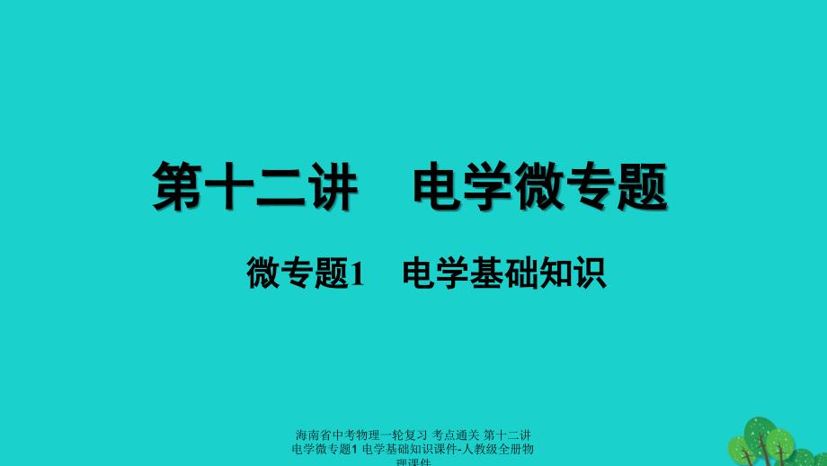 【最新】海南省中考物理一轮复习 考点通关 第十二讲 电学微专题1 电学基础知识课件-人教级全册物理课件_第1页