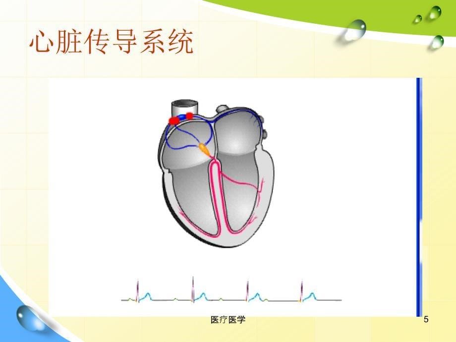 常见心律失常及处理【行业运用】_第5页