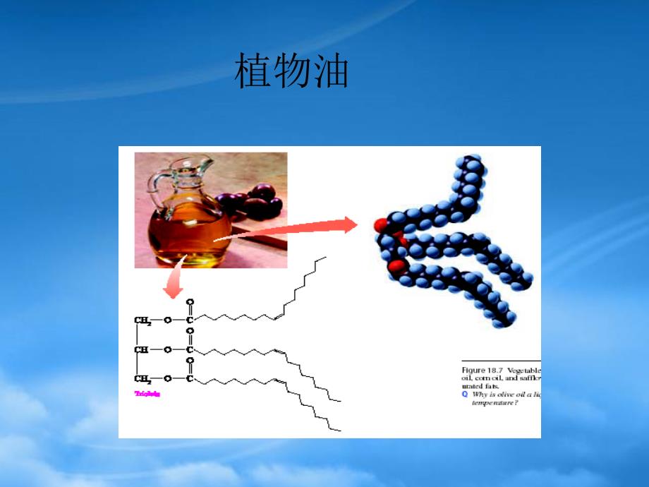 高中化学 1.2《重要的体内能源油脂》课件人教选修一（通用）_第4页