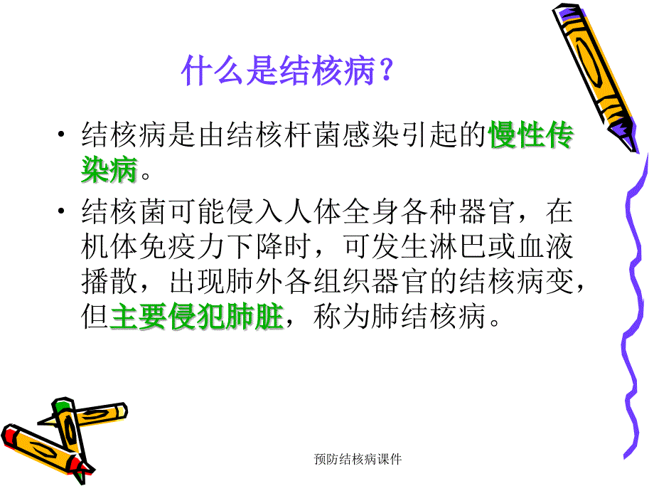 最新预防结核病课件_第2页