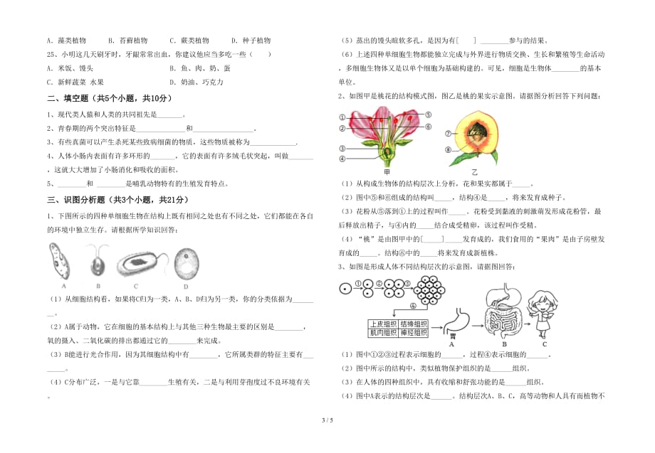 新苏教版七年级生物(下册)期中阶段检测及答案_第3页