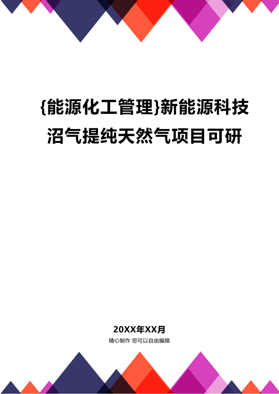 [能源化工管理]新能源科技沼气提纯天然气项目可研_第1页