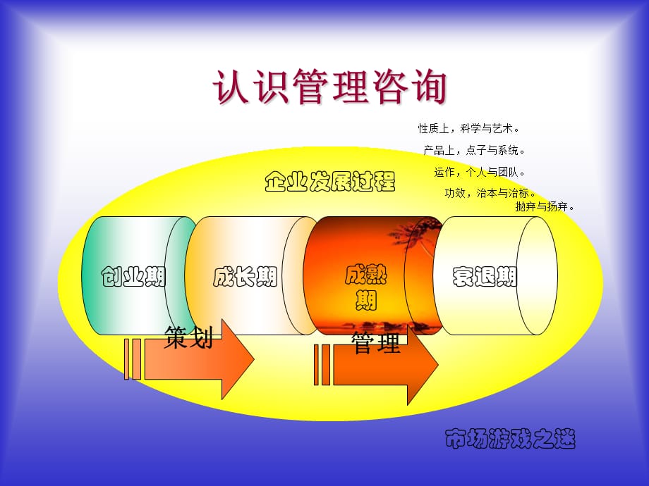 企业管理咨询顾问知识培训课程(ppt 45页)_第2页