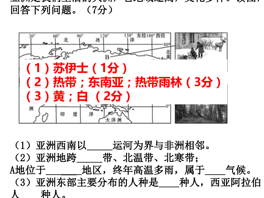 人教版七年级下册地理期末复习课件_第3页