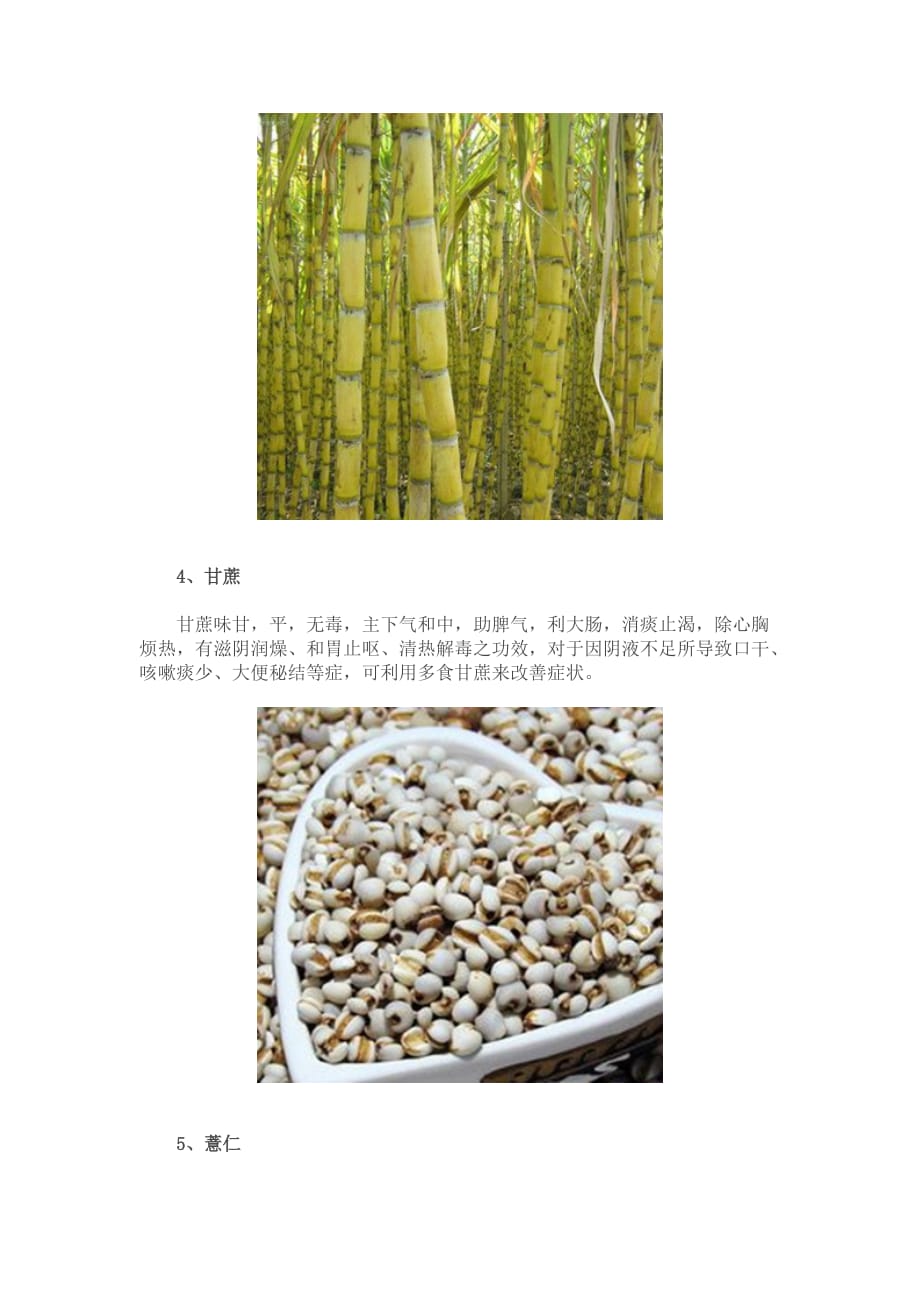 秋季女性多吃7种白色食物滋阴养胃补脑强心_第4页