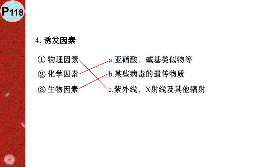 基因突变与基因重组简介(PPT 49页)_第4页