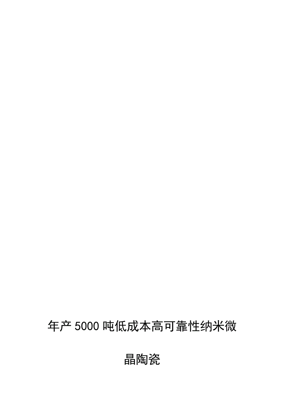 湖南大学项目可行性研究一(doc 13页)_第1页