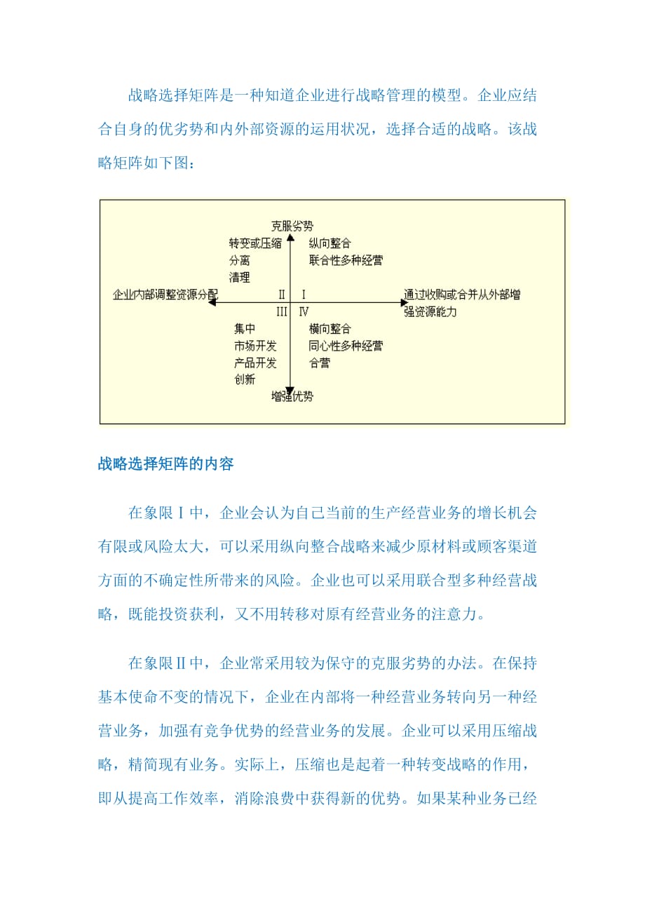 分析工具LV100 战略选择矩阵_第1页