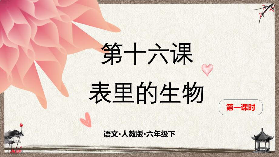 部编人教版六年级下册语文《第十六课 表里的生物 第一课时》教学课件_第1页