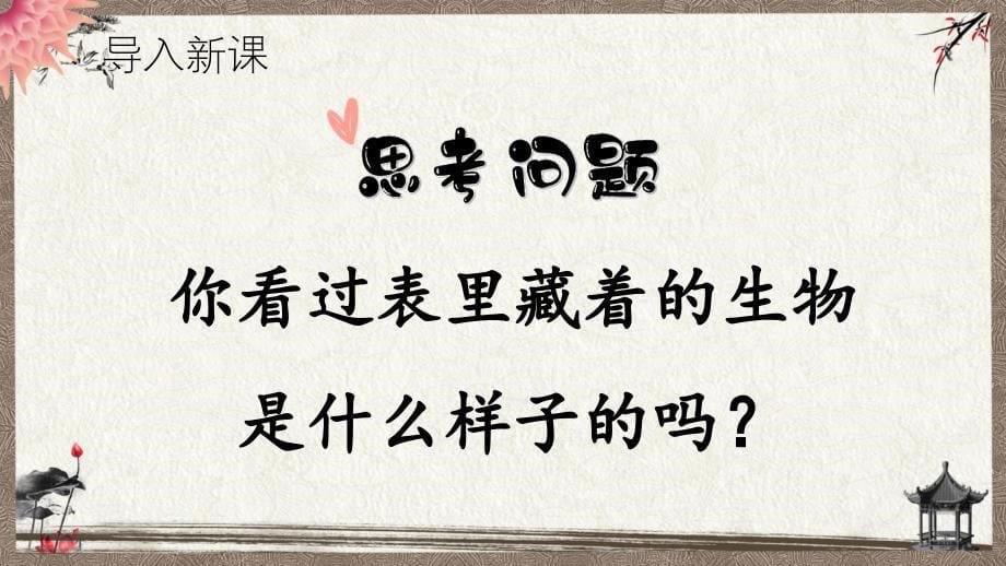 部编人教版六年级下册语文《第十六课 表里的生物 第一课时》教学课件_第5页