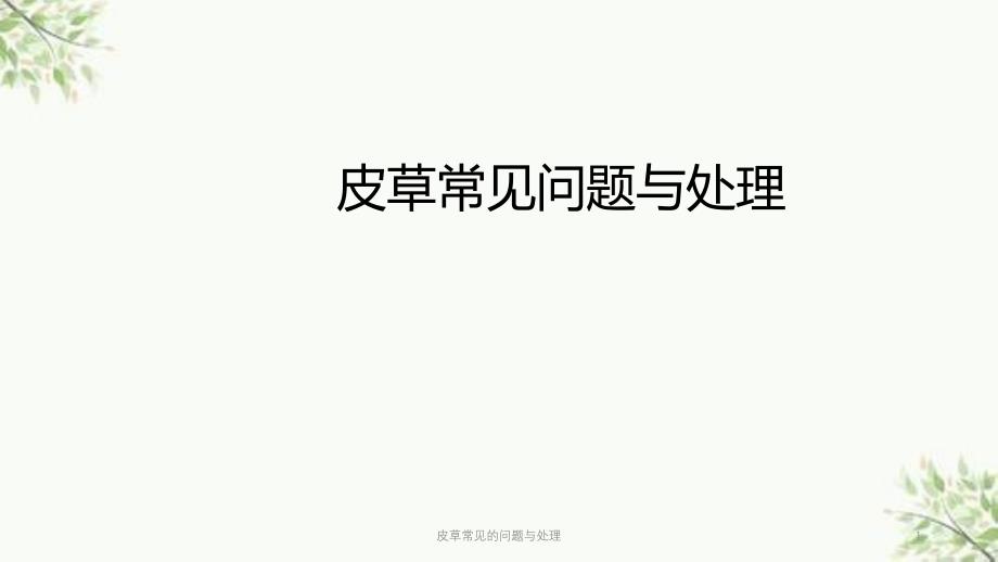 皮草常见的问题与处理课件_第1页