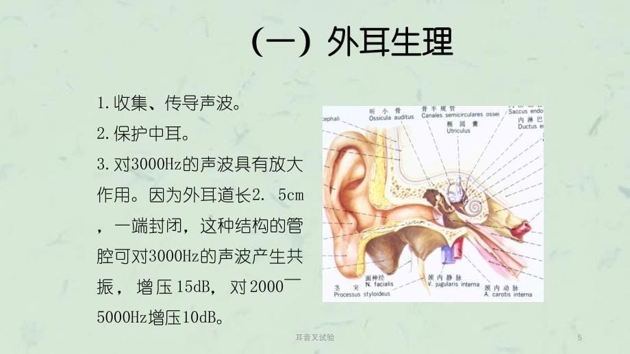 耳音叉试验课件_第5页