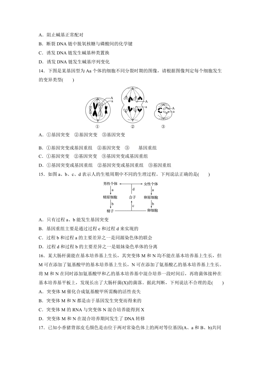 高一下学期 生物必修二第5章第1节 基因突变和基因重组 练习_第4页