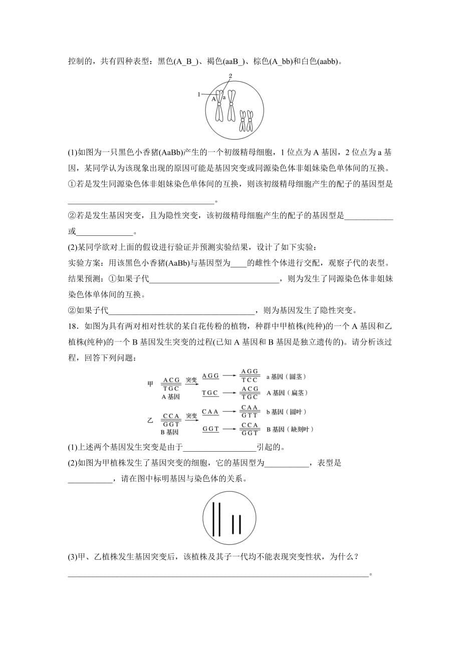 高一下学期 生物必修二第5章第1节 基因突变和基因重组 练习_第5页