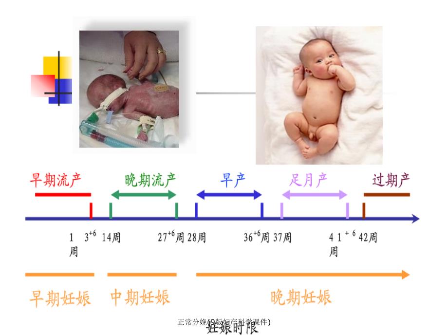 最新正常分娩(9版妇产科学)_第4页