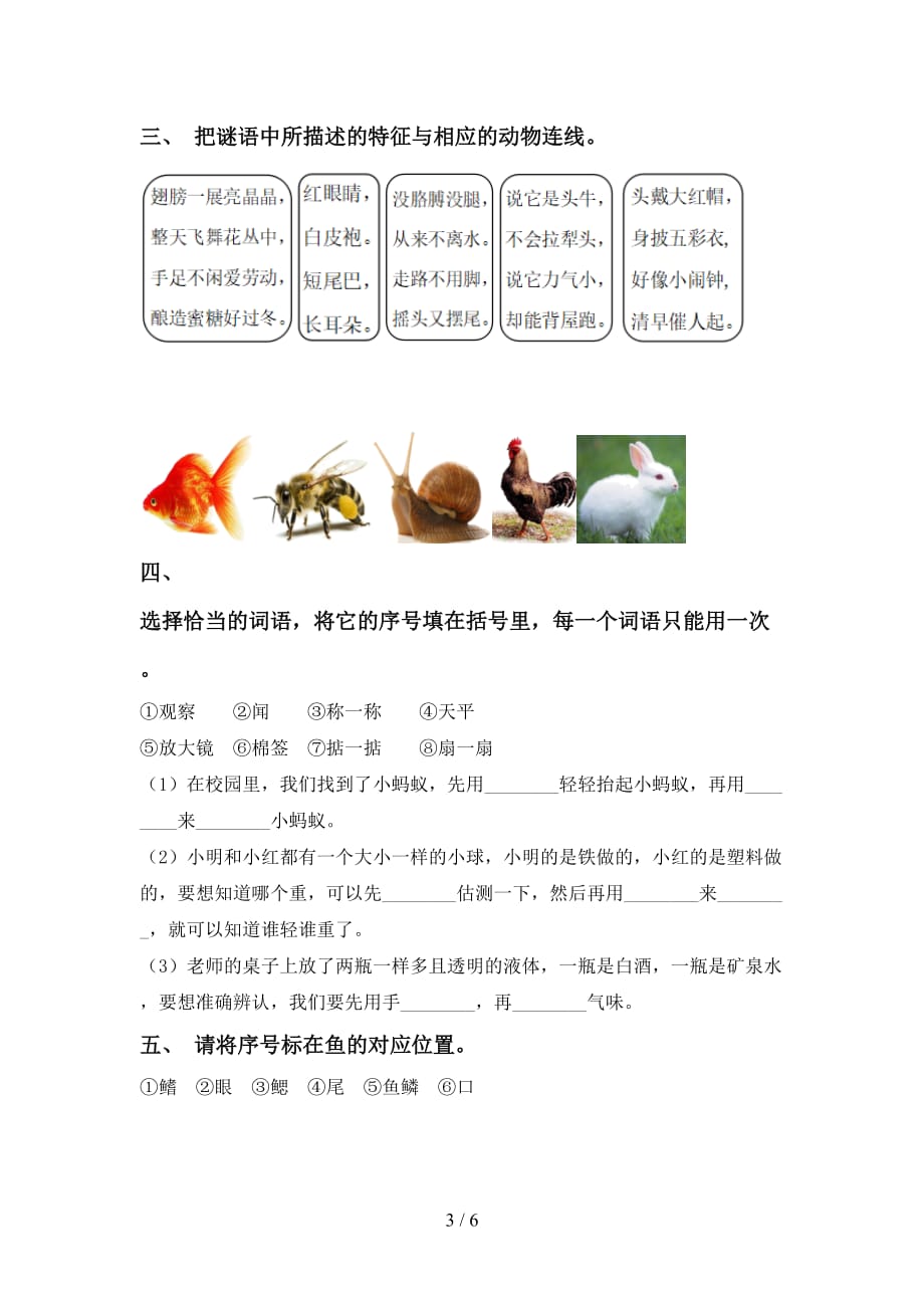 大象版一年级科学下册期中考试及答案【汇总】_第3页