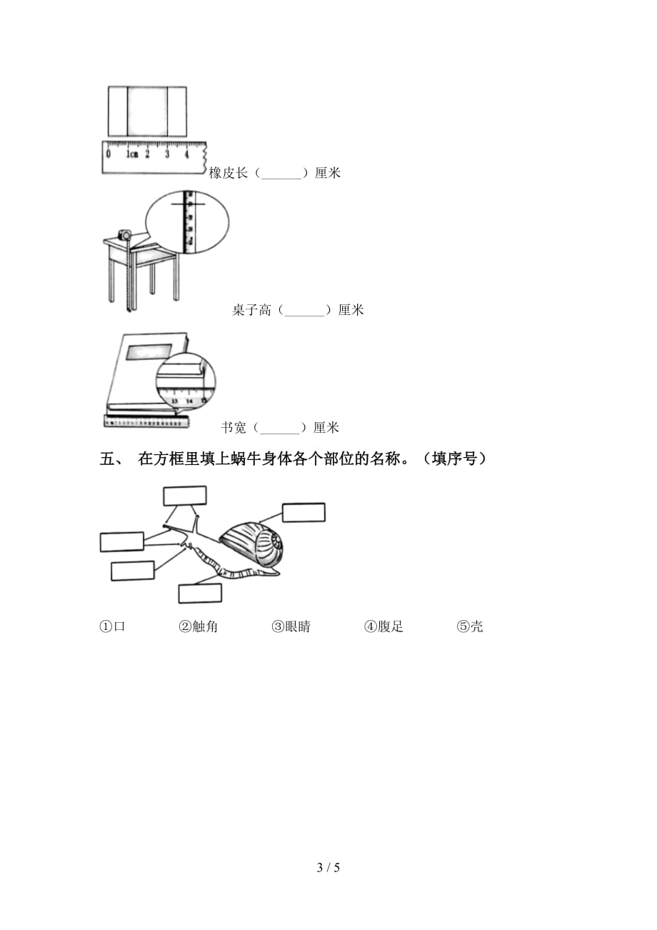 大象版一年级科学(下册)第一次月考综合检测卷及答案_第3页