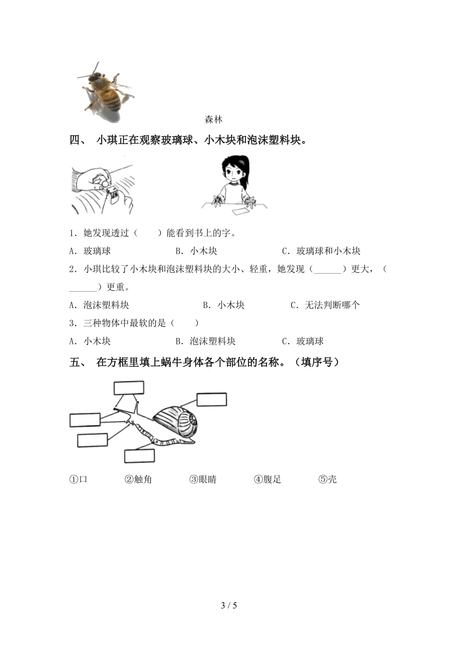 大象版一年级科学下册期末考试卷及答案【学生专用】_第3页