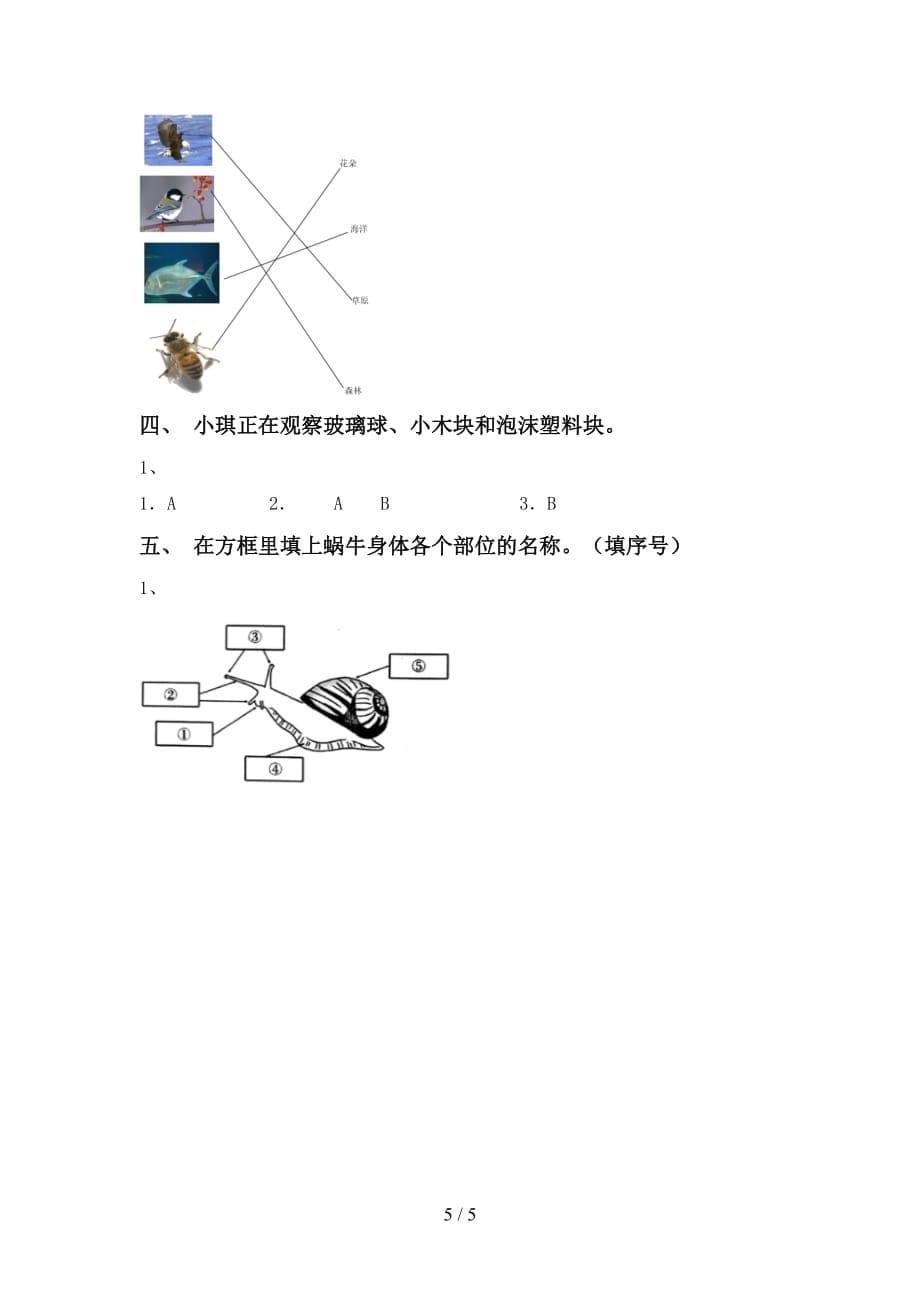 大象版一年级科学下册期末考试卷及答案【学生专用】_第5页