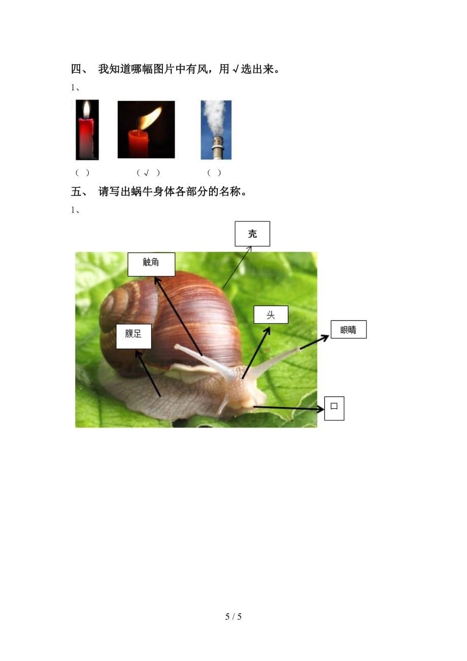 大象版一年级科学下册期中考试题（精编）_第5页