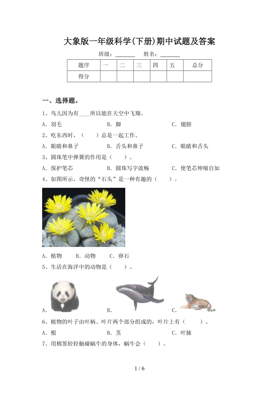 大象版一年级科学(下册)期中试题及答案_第1页