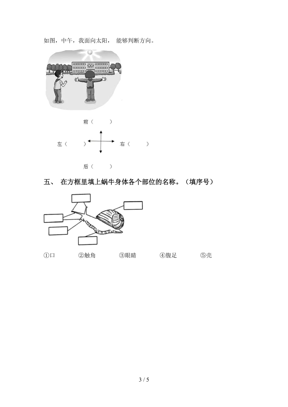 大象版一年级科学下册期中考试卷（学生专用）_第3页