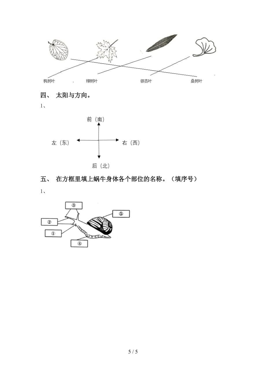 大象版一年级科学下册期中考试卷（学生专用）_第5页