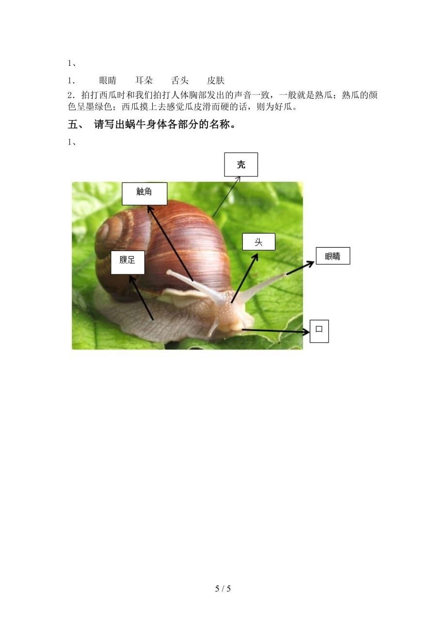 大象版一年级科学(下册)期末测试及答案_第5页