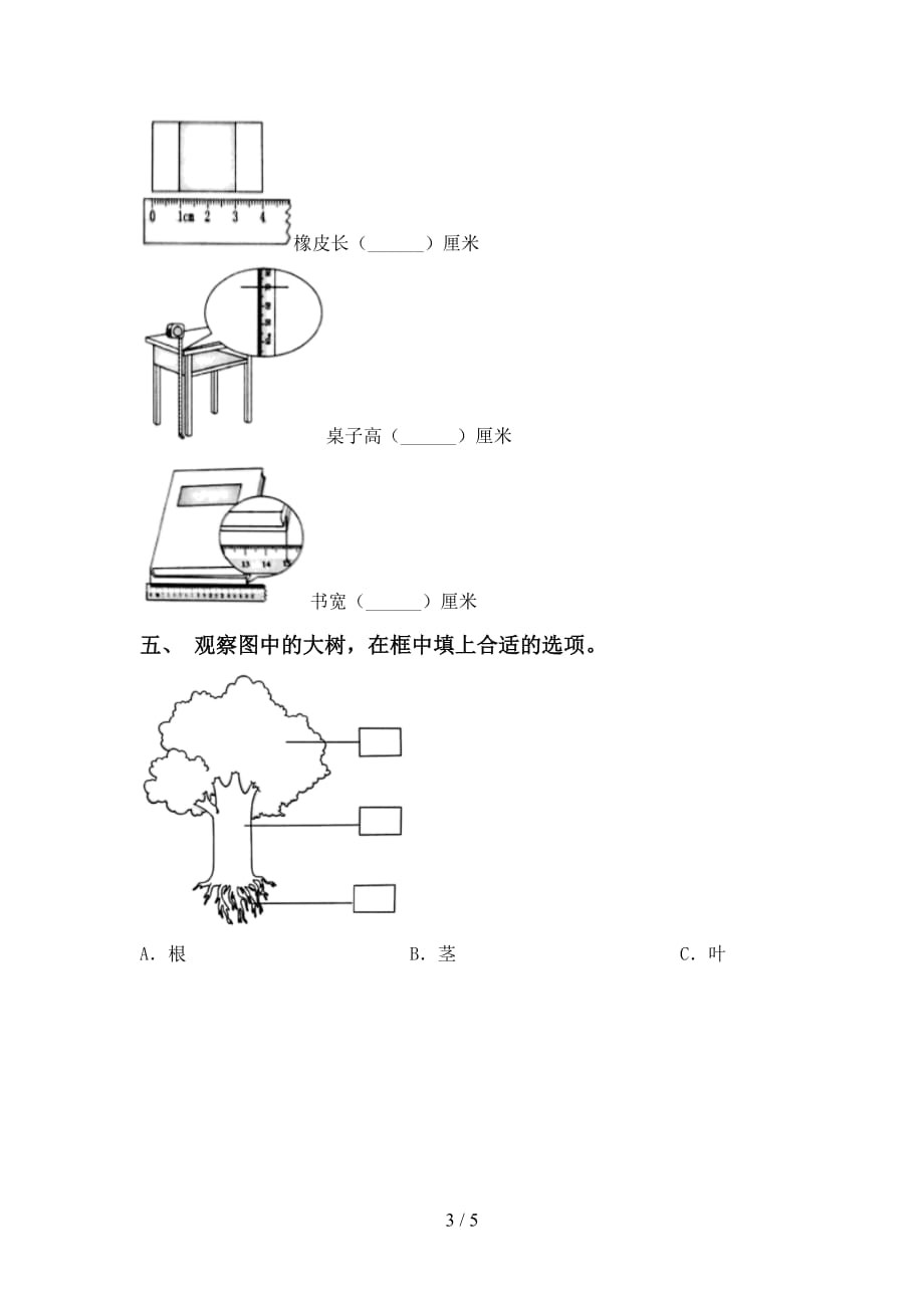 大象版一年级科学下册期中考试卷带答案_第3页