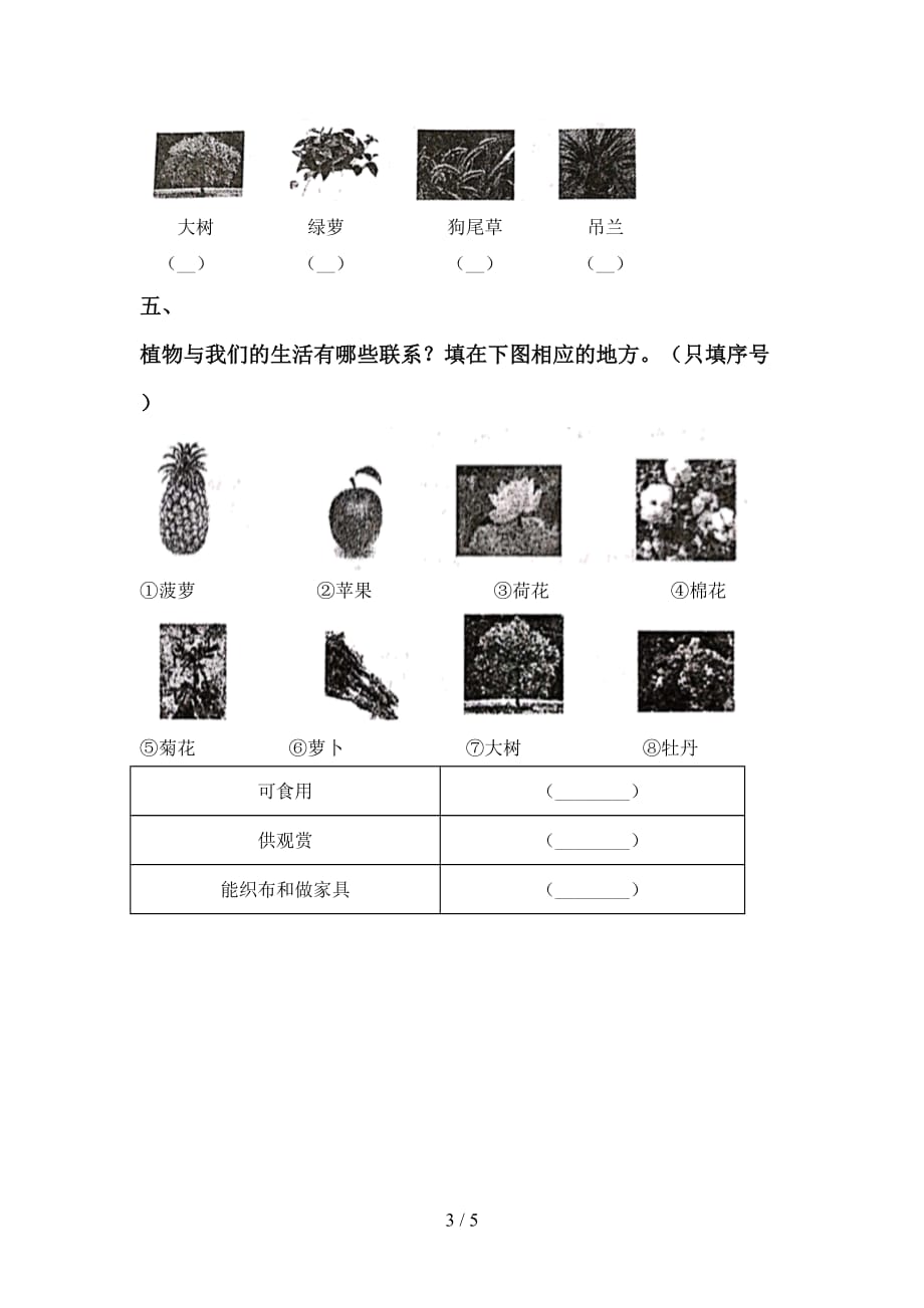 人教版一年级科学下册第一次月考考试卷及答案【完整版】_第3页