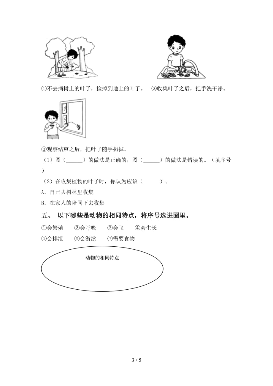 大象版一年级科学下册期末考试卷（学生专用）_第3页