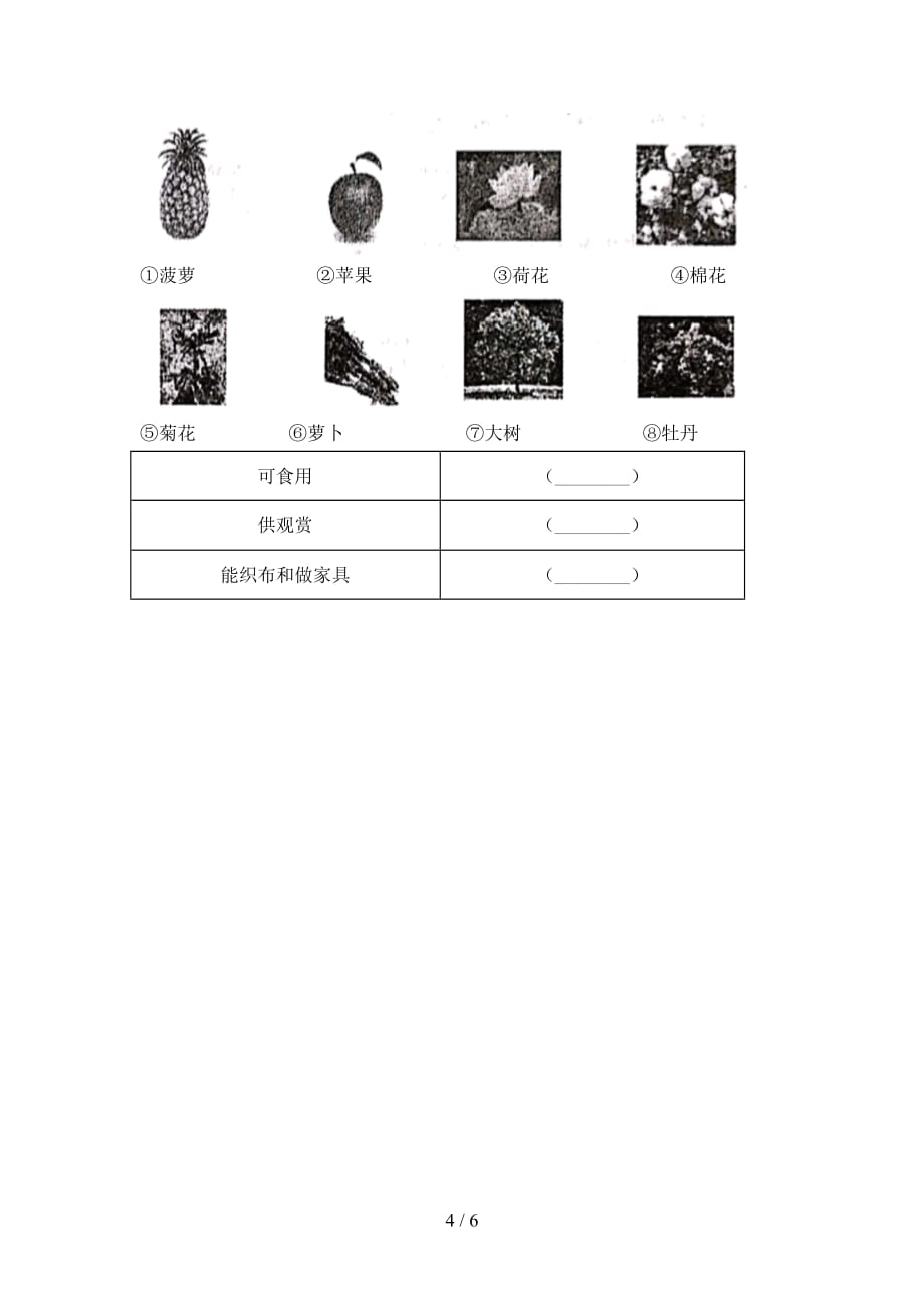 一年级科学下册第一次月考考试卷带答案_第4页