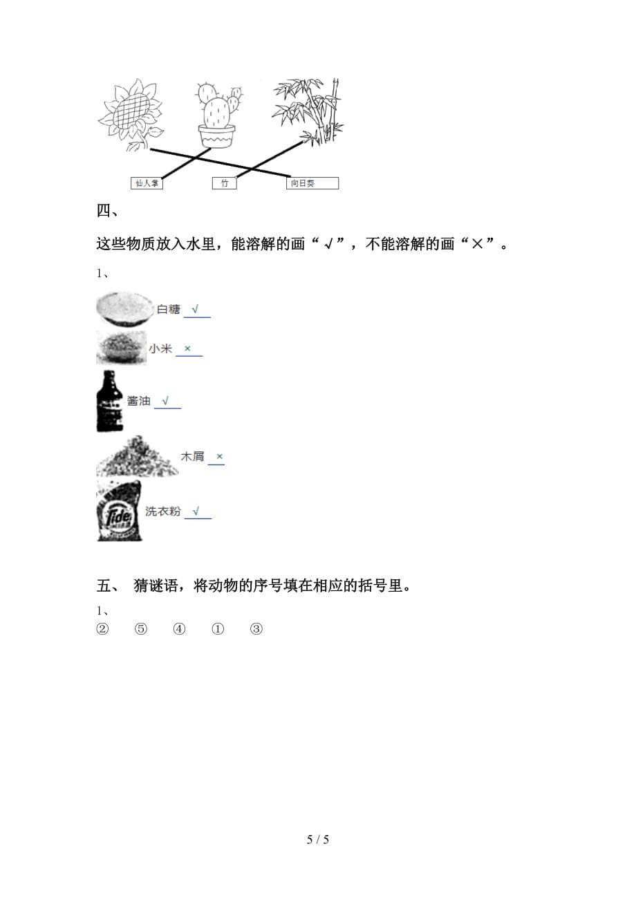 大象版一年级科学(下册)期末试卷及答案（新版）_第5页