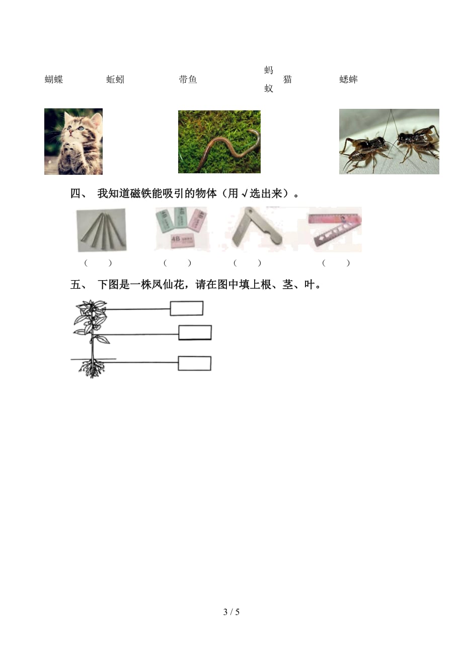 大象版一年级科学下册期中考试卷（各版本）_第3页