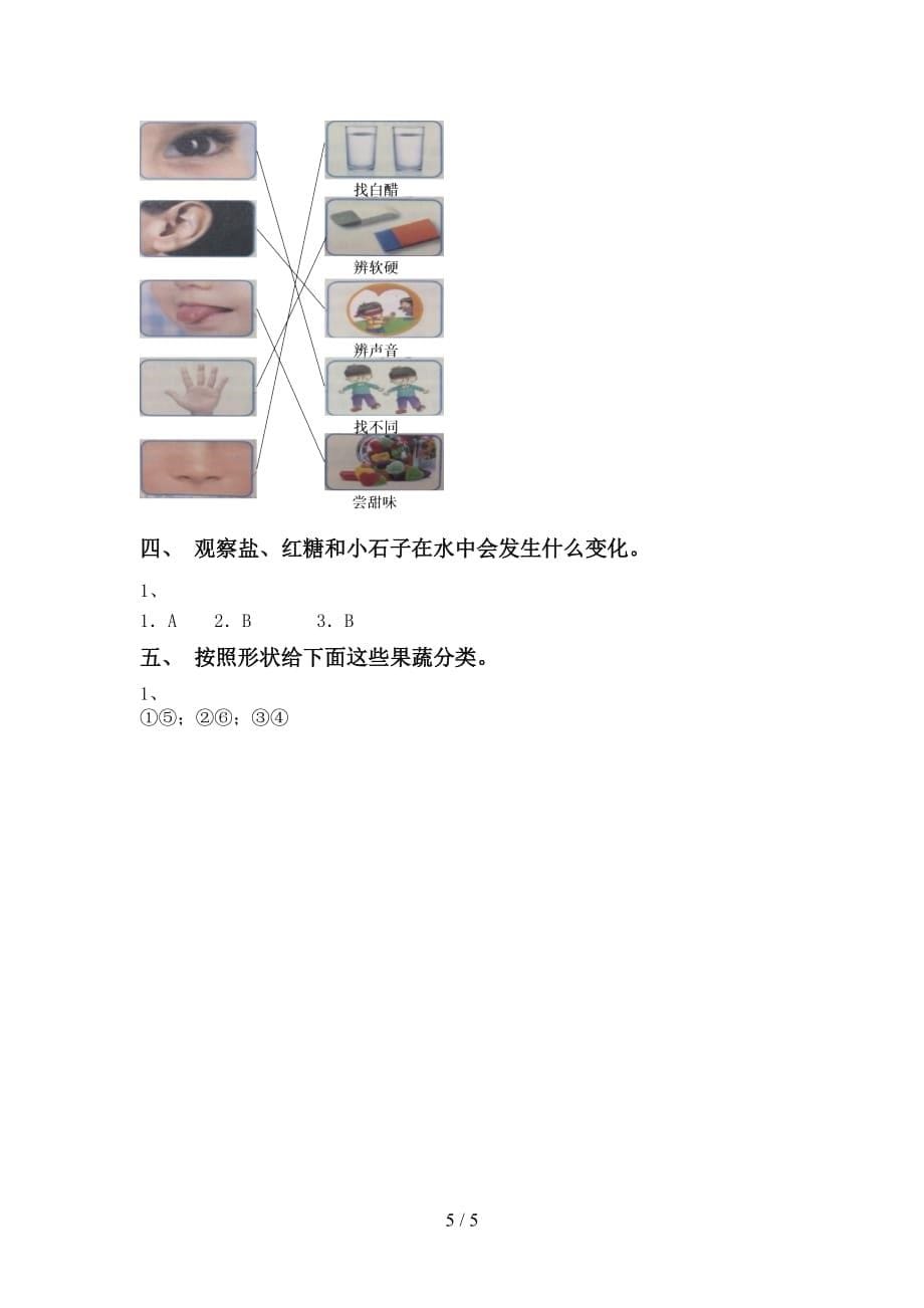 大象版一年级科学下册期中考试卷（带答案）_第5页