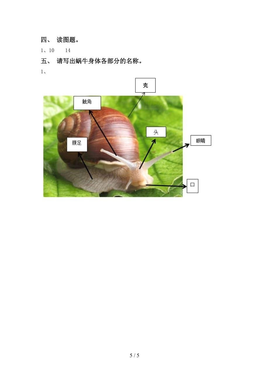 青岛版一年级科学下册第一次月考考试题（含答案）_第5页