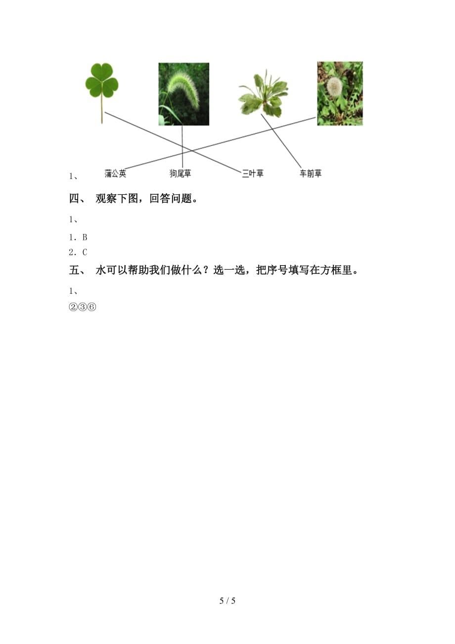 苏教版一年级科学下册第一次月考考试题（一套）_第5页